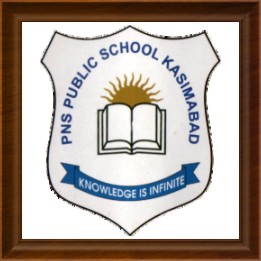PNS Public School